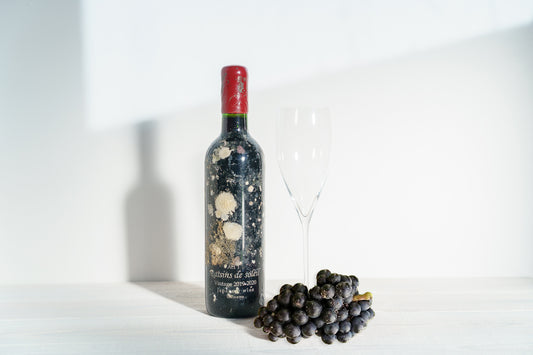 リュウキュウガネブワイン Raisins de soleil (太陽の葡萄) 赤ワイン 海洋熟成品 720ml 沖縄 リュウキュウガネブ 国産