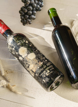 リュウキュウガネブワイン Raisins de soleil (太陽の葡萄)  赤ワイン 海洋熟成品 720ml 沖縄 リュウキュウガネブ 国産